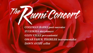 Picture of beautiful red rose with names of Rumi Concert artists